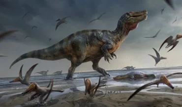 How Dinosaurs Shrank and Became Birds