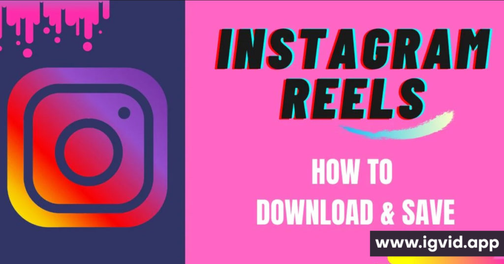 Download Instagram Videos on PC Without Software