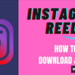 Download Instagram Videos on PC Without Software